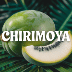 Chirimoya verte coupee, chair blanche et graines