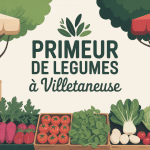 primeur legumes villetaneuse vue marche legumes frais