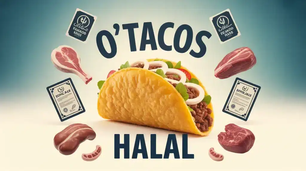 Illustration vectorielle O'Tacos halal avec certificats et traçabilité